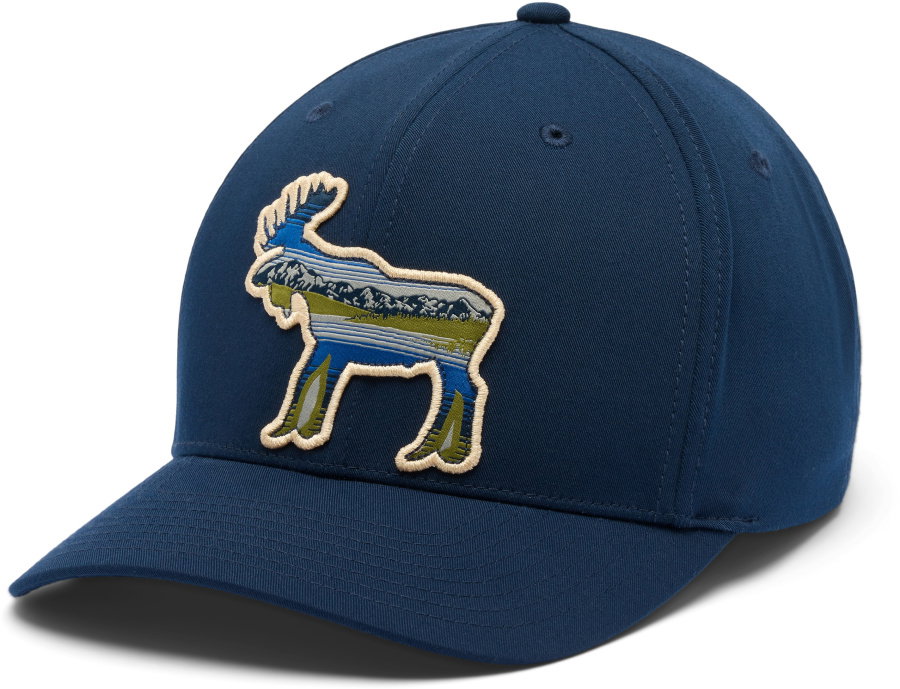Columbia Lost Lager 3D Stretch Snap Back Columbia Lost Lager 3D Stretch Snap Back Farbe / color: collegiate navy/moose ()