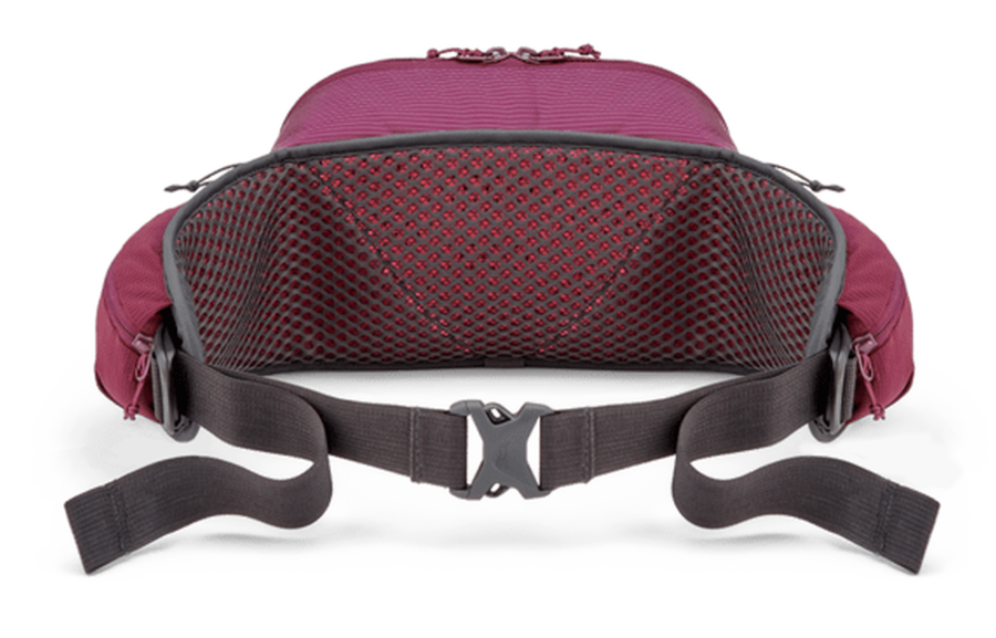 Detailansicht / detail, mulberry