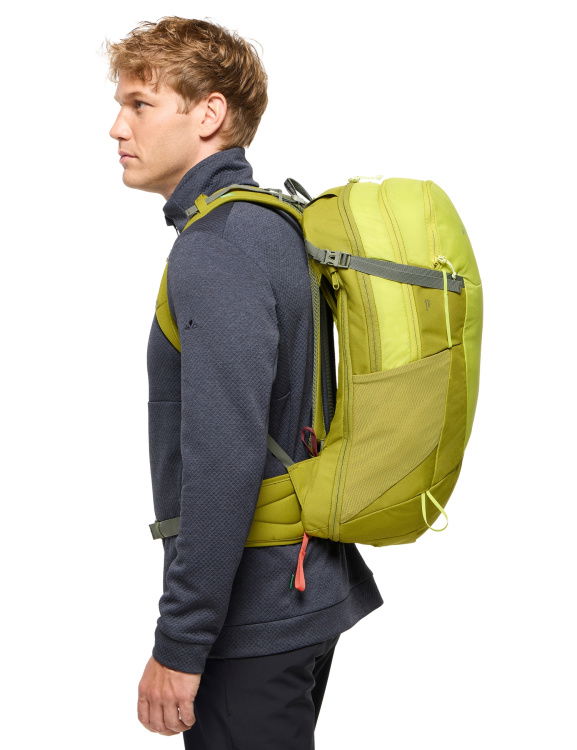 Detailansicht / detail, Farbe/color: light leaf