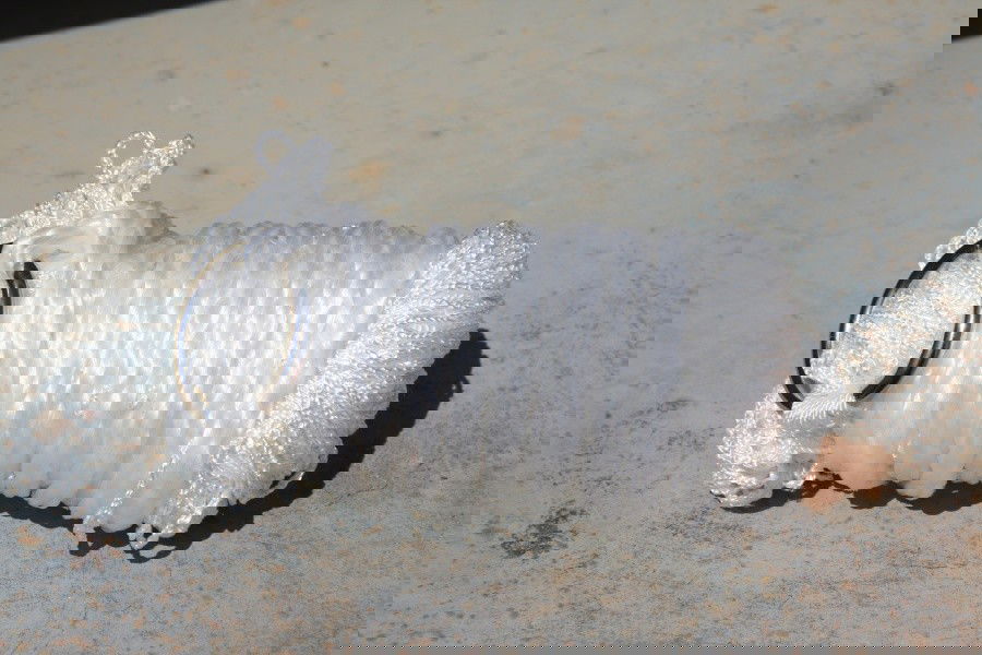 Packmaß / Pack size