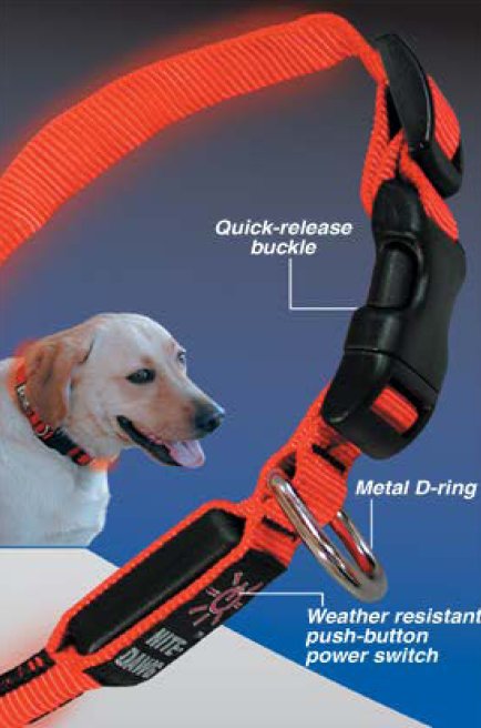 Nite Ize LED Hundehalsband Nite Ize LED Hundehalsband Farbe / color: rot ()