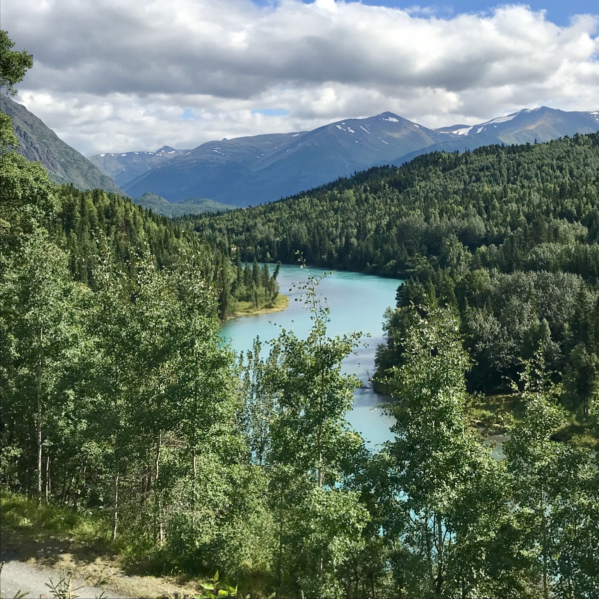 Kenai River