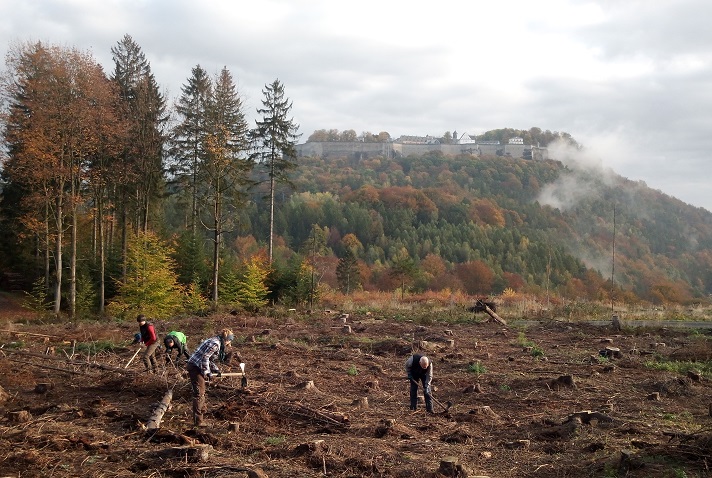 Aufforsten mit dem Bergwaldprojekt in der S ...