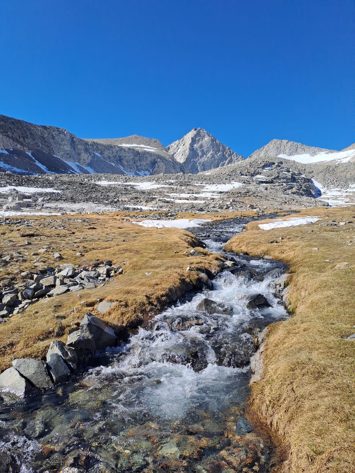 Von Mexiko nach Kanada - 4000 Kilometer auf d ...