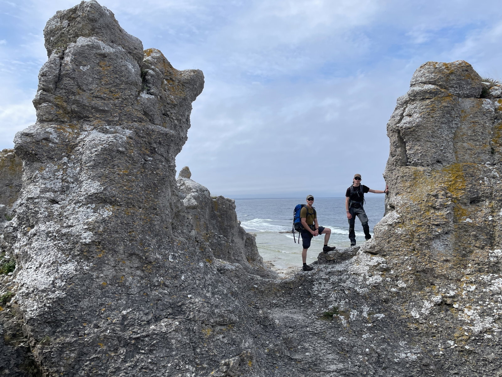 Gotland - nordische Insel mit Raukas, Kiefern...