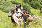 Alpenberquerung mit dem Packpferd