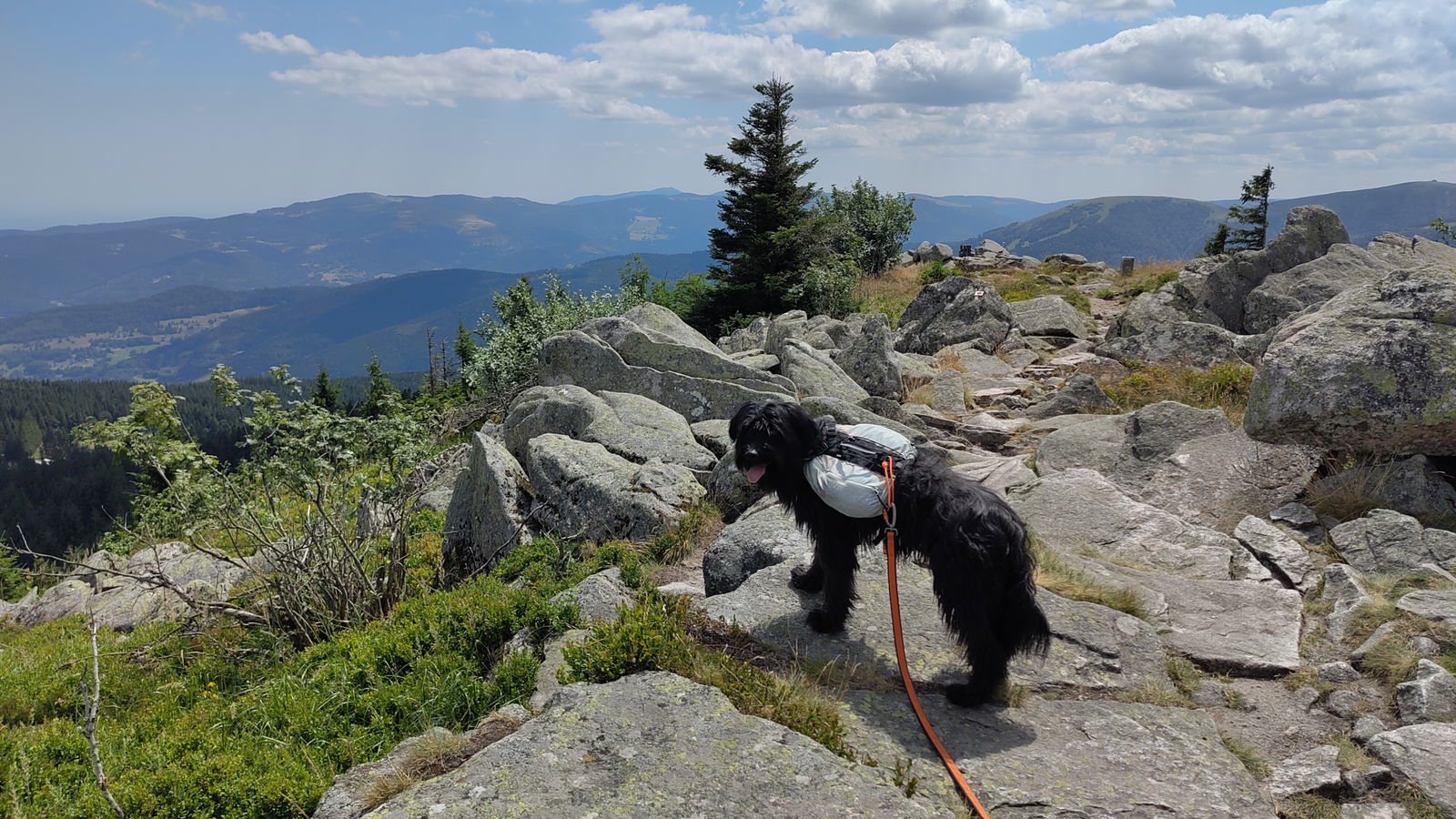Hitze, Hhenmeter und ein Hund mit eigenen Pl ...
