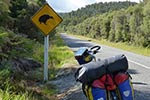 Radreisetraum in Neuseeland