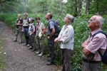 Wanderung im Schwarzwald