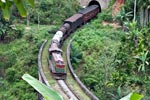 Zugfahrt auf Sri Lanka