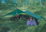 Tarp 20 XP