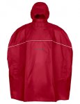 indian red