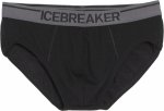 Icebreaker Anatomica Briefs