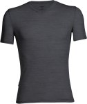 Anatomica SS V