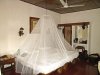 Brettschneider Expedition natu ...