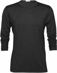 Ari LS Merino