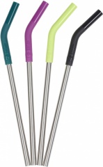 4 Piece Stainless Steel Straw Set