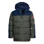 forest green/navy