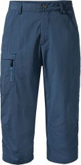 Mens Farley Capri Pants II