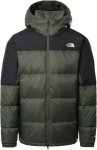 thyme/TNF black