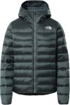 Womens Aconcagua Hoodie