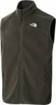 Mens 100 Glacier Vest