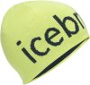 Icebreaker Beanie