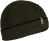 Icebreaker Waypoint Beanie