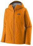 autumn orange
