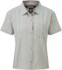 celery patti stripe