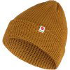 acorn