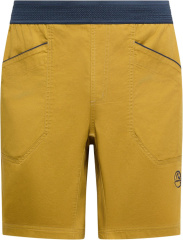 Roots Shorts Men