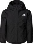 TNF black