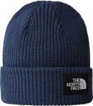 Salty Lined Beanie