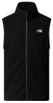 Glacier Fleece Vest