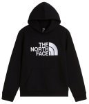 Teen TNF Essential Drew Peak Hoodie
