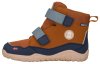 teak brown