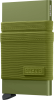 kelp