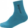 dolphin blue