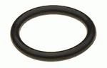 Fuel Bottle Dichtung, O-Ring